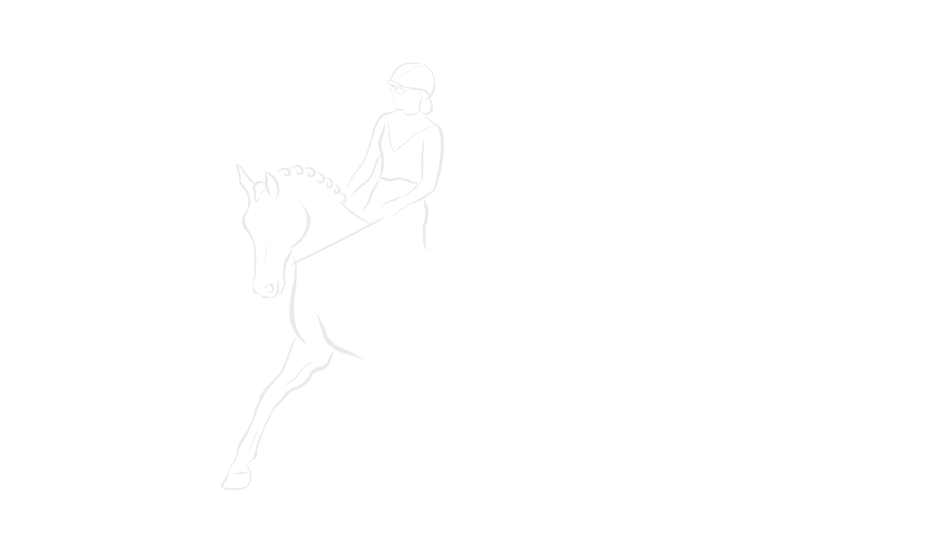 THorse Training & Instructie