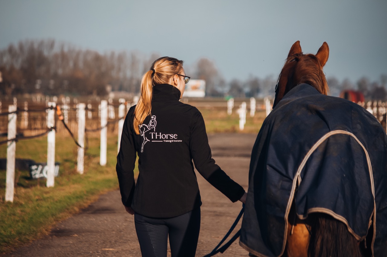 Paardrij instructie instructeur dressuur springen paardrijles Amsterdam