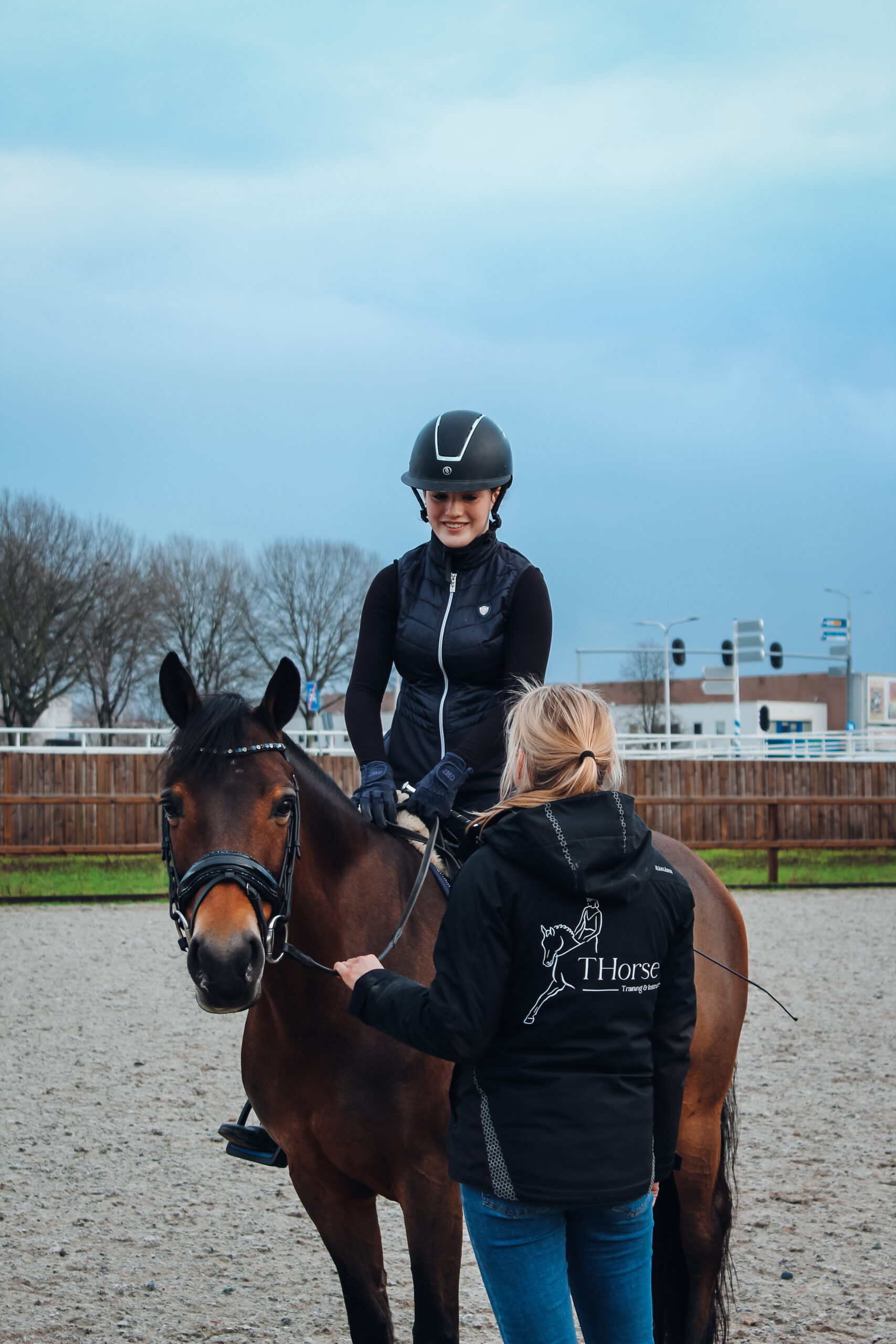 dressuur les paardrijles instructeur